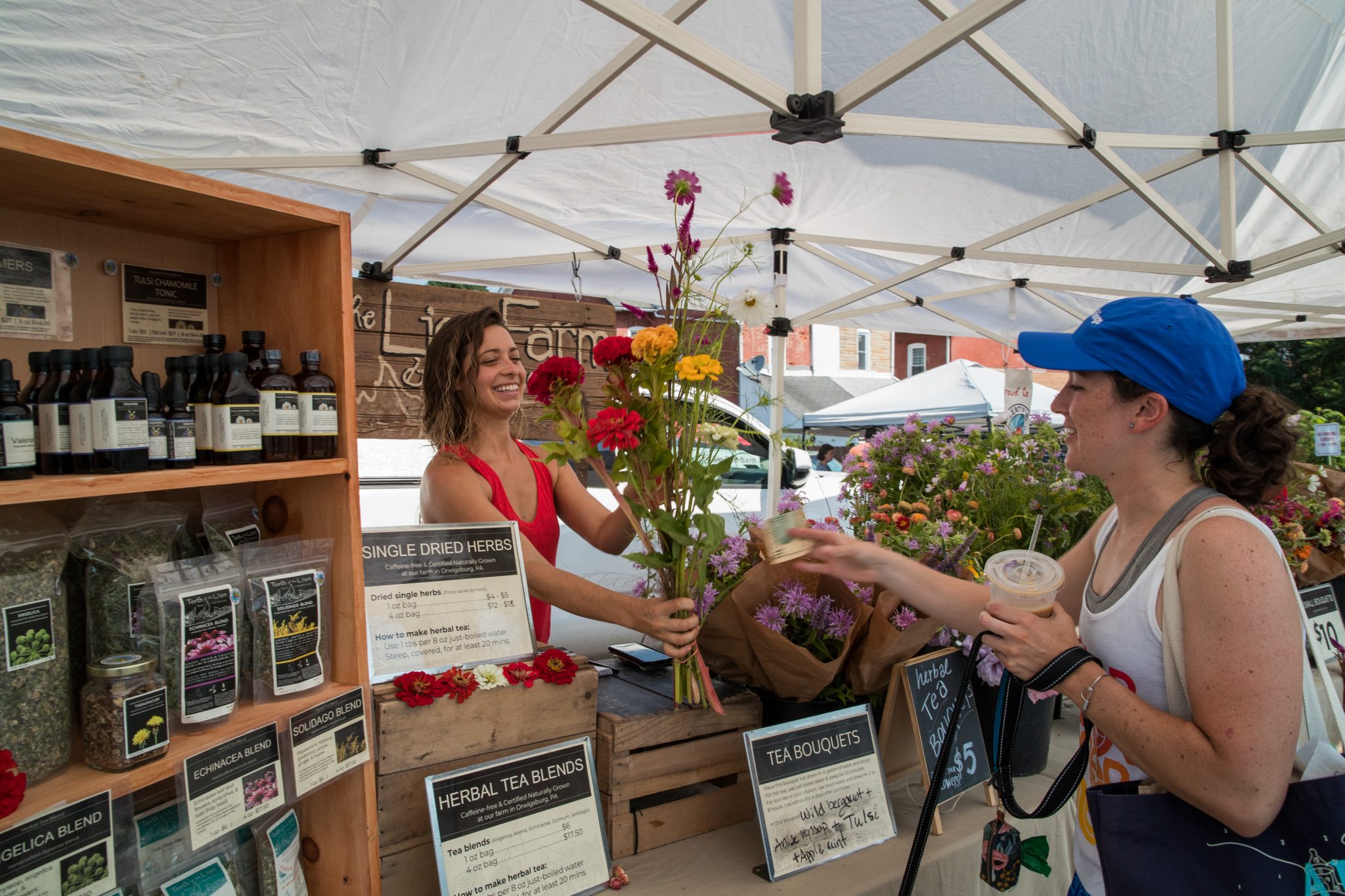 Living in Emmaus, Pennsylvania Made Possible in Lehigh Valley