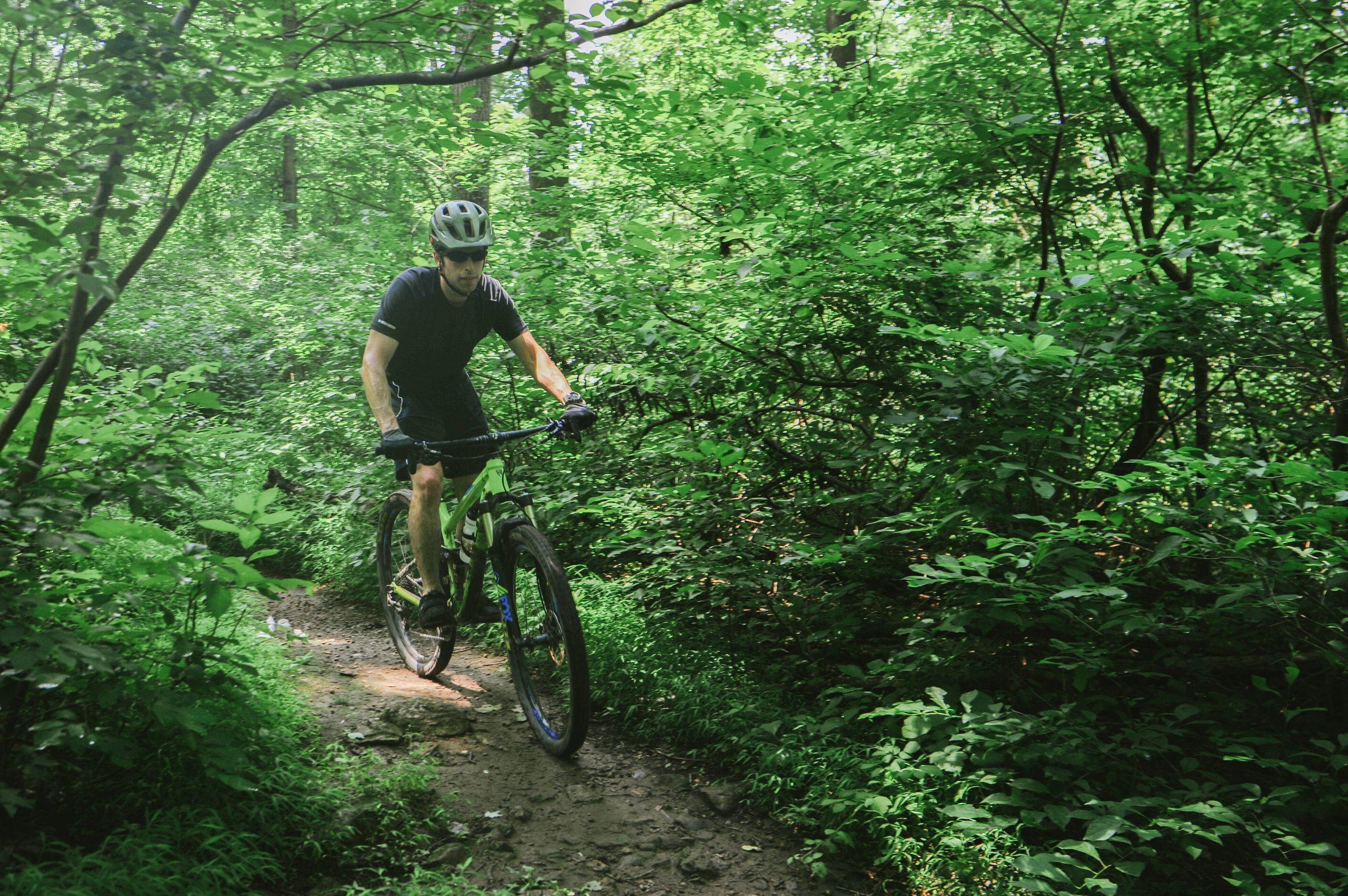South Mountain Preserve Made Possible in Lehigh Valley